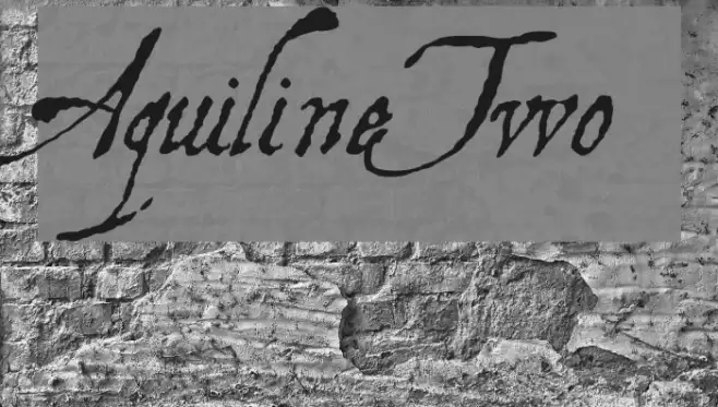 AquilineTwo Schriftart examples