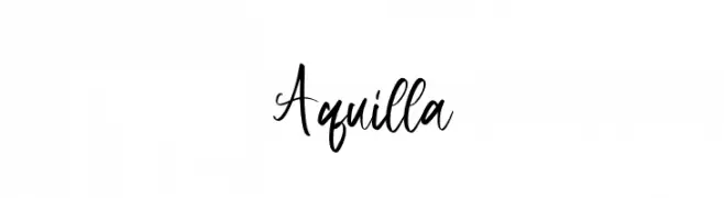 Aquilla  Free Fonts Download