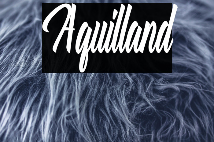Aquilland Example 3