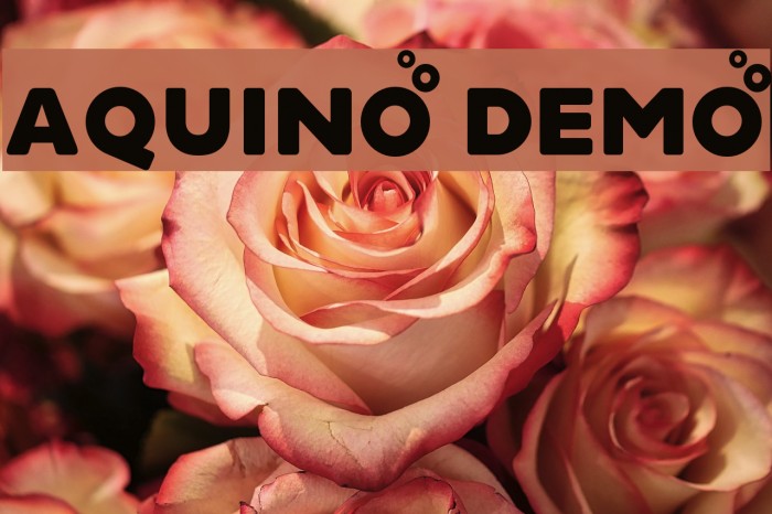 Aquino Demo Font examples