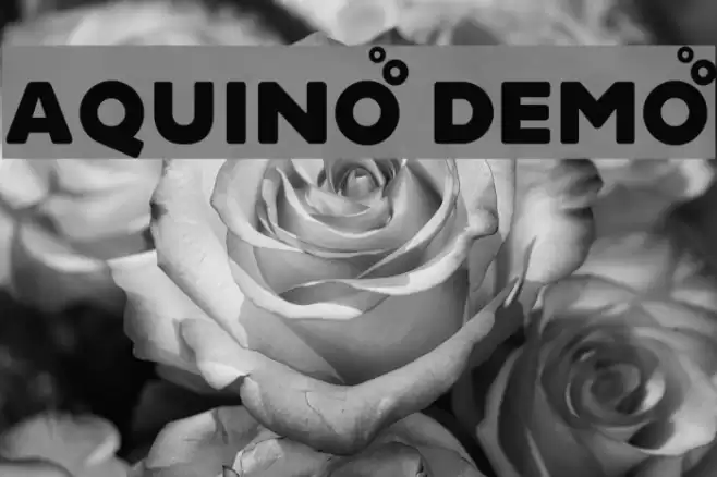 Aquino Demo Font examples