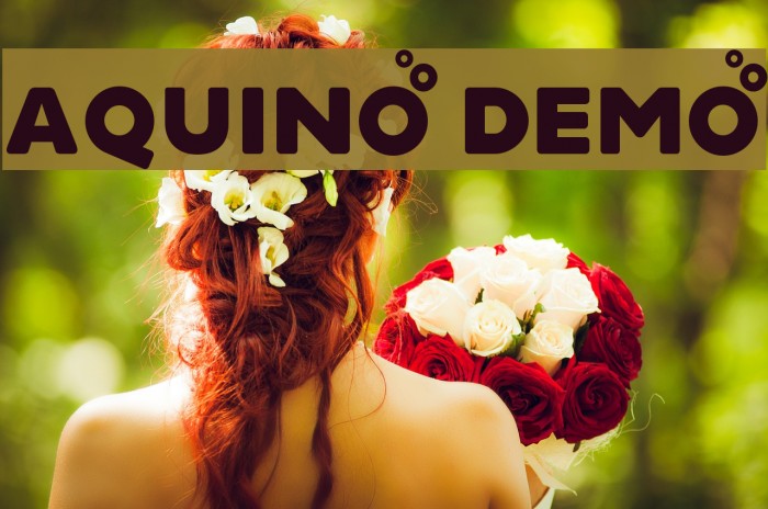Aquino Demo Font examples