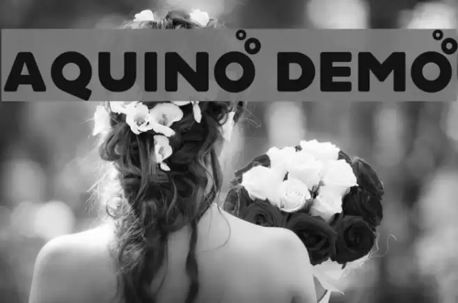 Aquino Demo Font examples