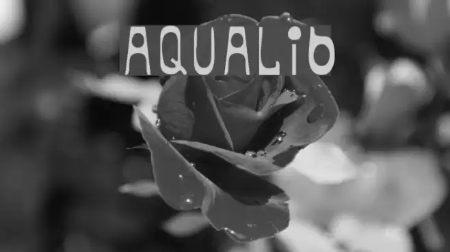 aqualib Font examples