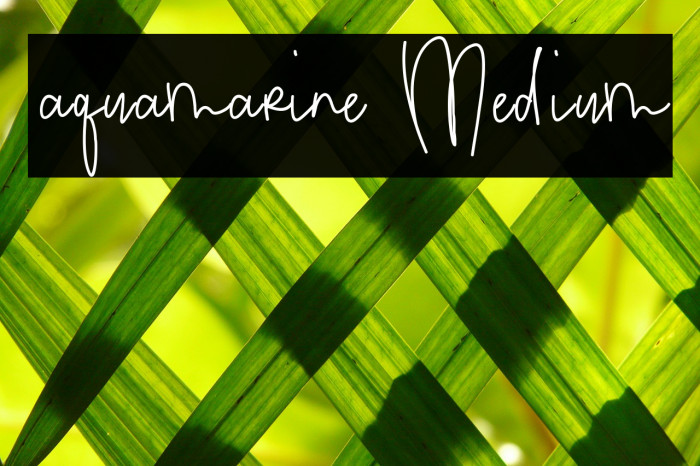 aquamarine Medium Font examples