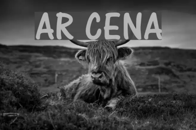 AR CENA Font examples