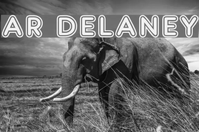 AR DELANEY Font examples