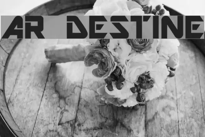 AR DESTINE Шрифта examples