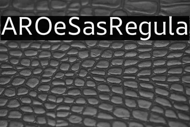 AR One Sans Regular Example 1