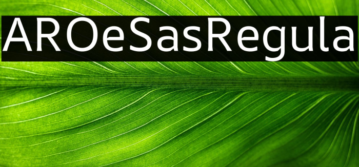 AR One Sans Regular Example 2