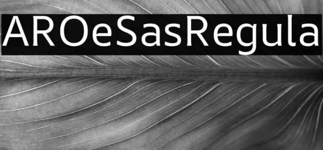 AR One Sans Regular Example 2