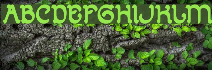 ARABIAN KNIGHT Bold Example 3