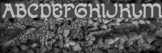 ARABIAN KNIGHT Bold Font examples