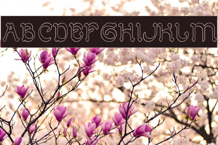 ARABIAN KNIGHT-Hollow-Inverse Example 2