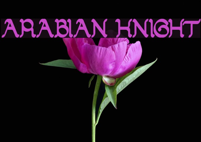 ARABIAN KNIGHT Font examples