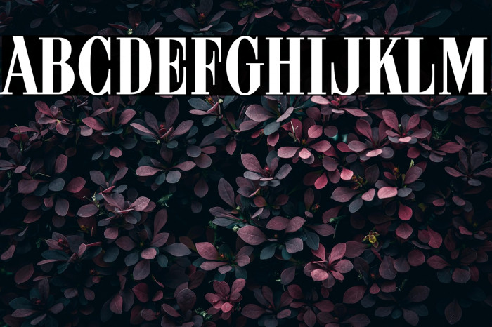 ARB 08 Extreme Roman AUG-32 CAS Normal Example 2