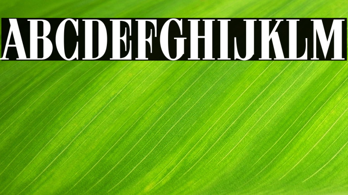 ARB 08 Extreme Roman AUG-32 CAS Normal Example 3