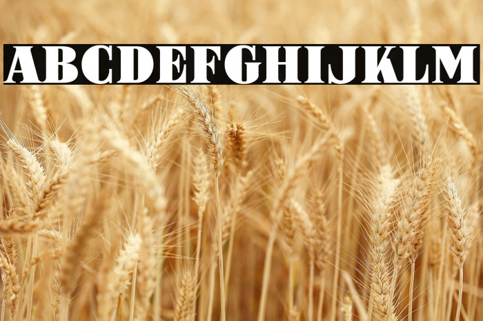 ARB-187 Moderne Caps AUG-47 CAS Normal Example 3