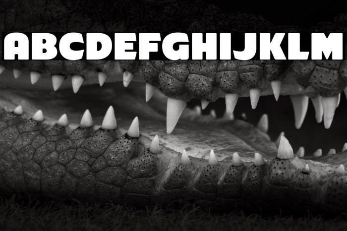 ARB-218 Big Blunt MAR-50 Normal Example 3