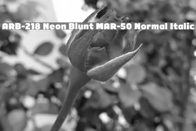 ARB-218 Neon Blunt MAR-50 Normal Italic Font examples