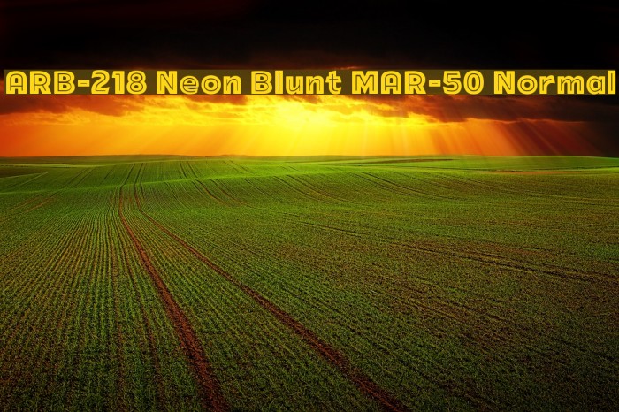 ARB-218 Neon Blunt MAR-50 Normal Font examples