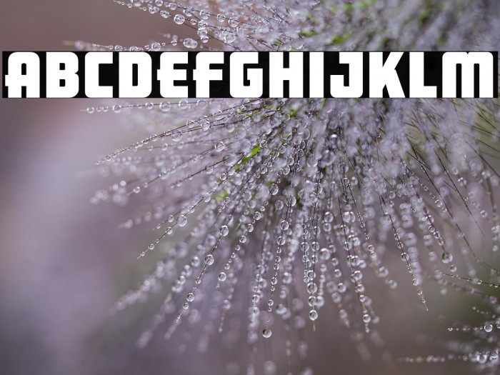 ARB 66 Neon Block JUN-37 Example 2