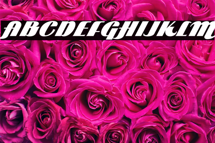 ARB 85 Poster Script JAN-39 Normal Example 2