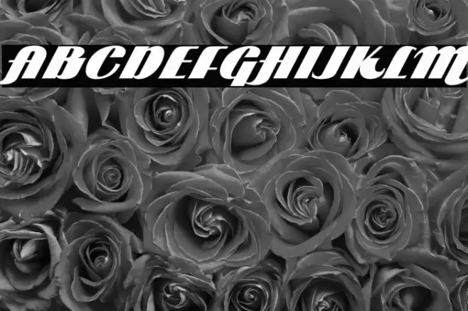 ARB 85 Poster Script JAN-39 Normal Font examples