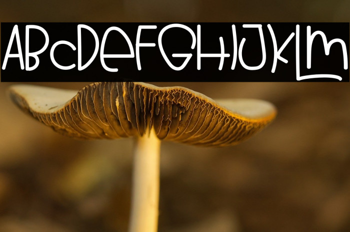 ARBBIE BUBBLE Example 1