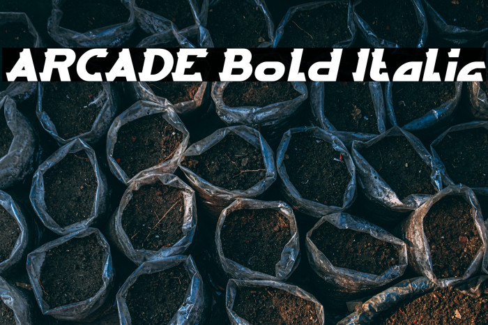 ARCADE Bold Italic Example 1