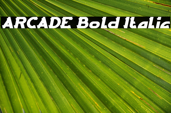 ARCADE Bold Italic Example 2