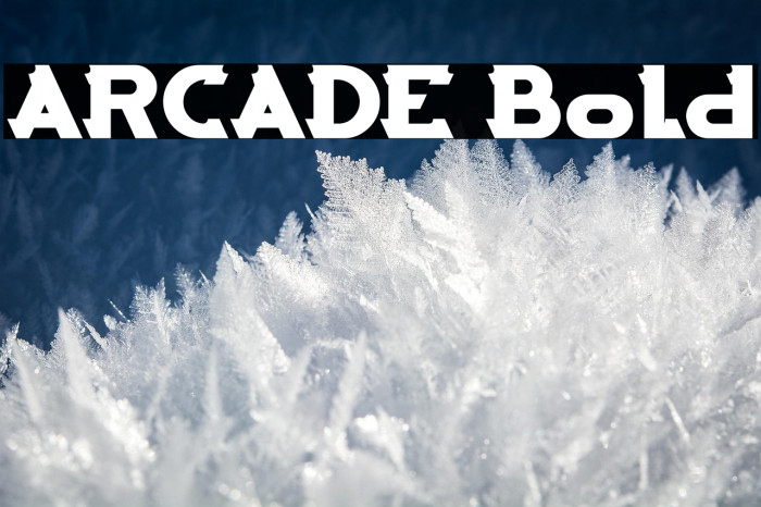 ARCADE Bold Example 1