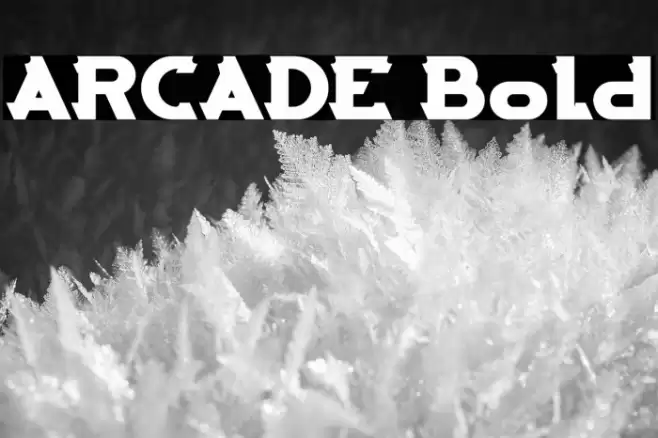 ARCADE Bold Font examples