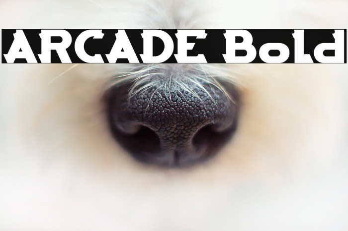ARCADE Bold Example 2