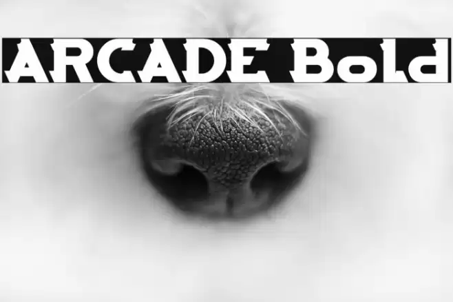 ARCADE Bold Font examples
