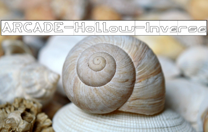 ARCADE-Hollow-Inverse Example 1