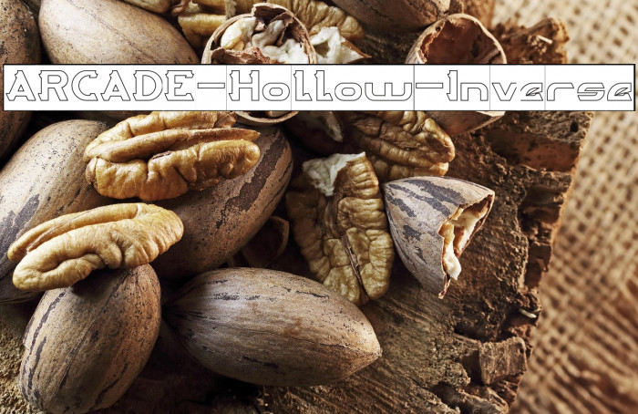 ARCADE-Hollow-Inverse Example 2