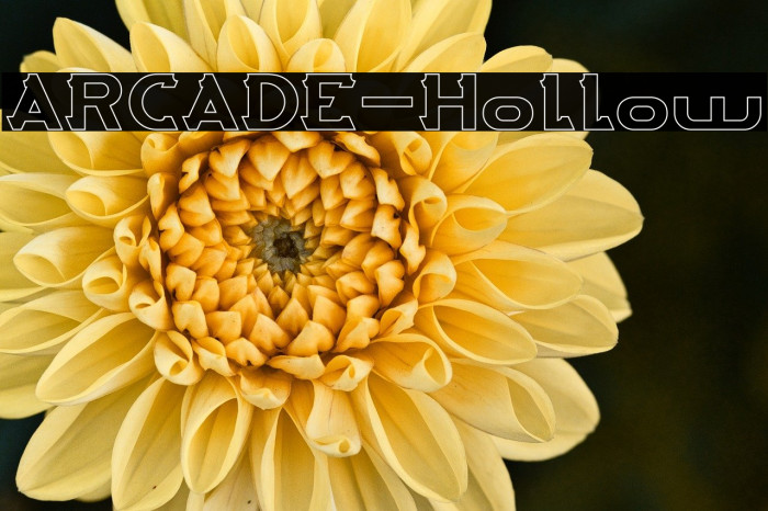 ARCADE-Hollow Example 3