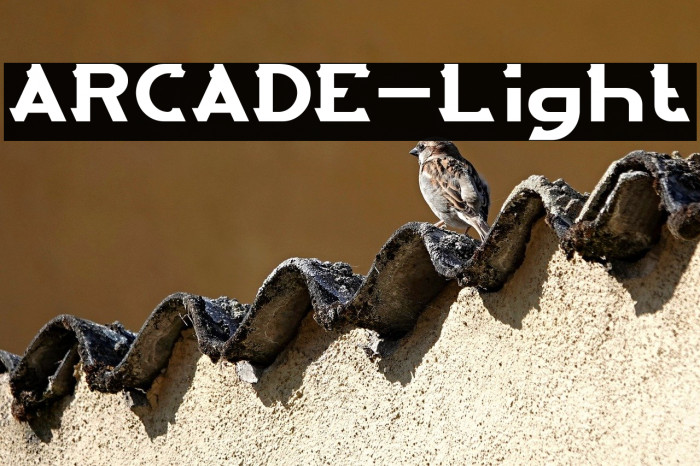 ARCADE-Light Example 1