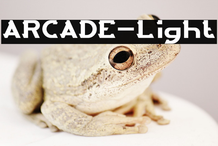 ARCADE-Light Example 2
