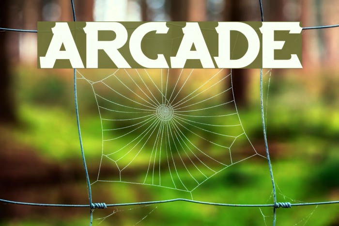 ARCADE Font examples