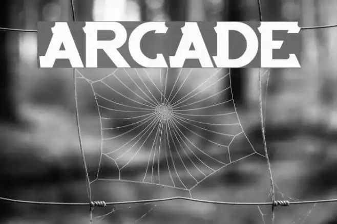 ARCADE Example 3