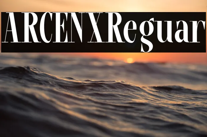 ARCENIX Regular Example 1