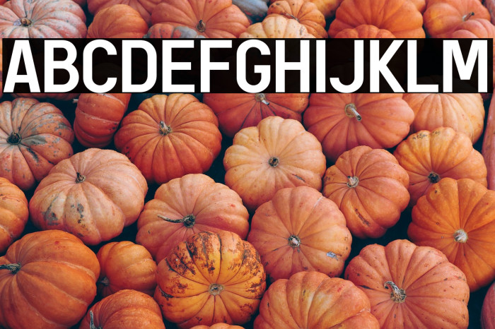 AREA KILOMETER 50 Example 2