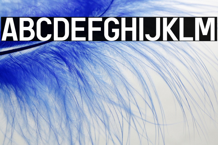 AREA KILOMETER 50 Example 3