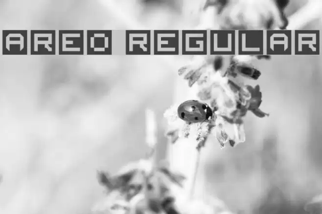 AREO Regular Font examples