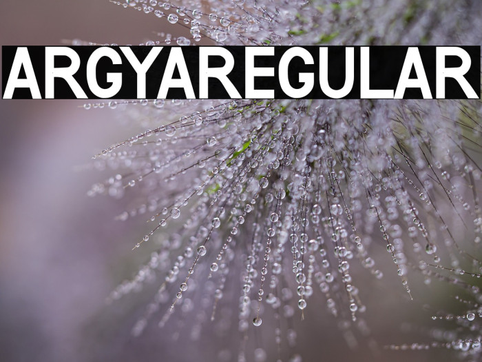 ARGYARegular Example 3