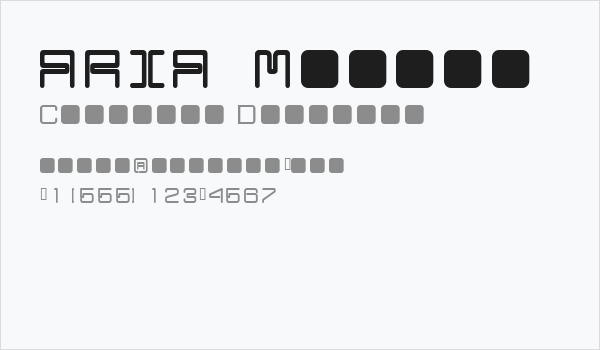 ARIA  Medium Business Card