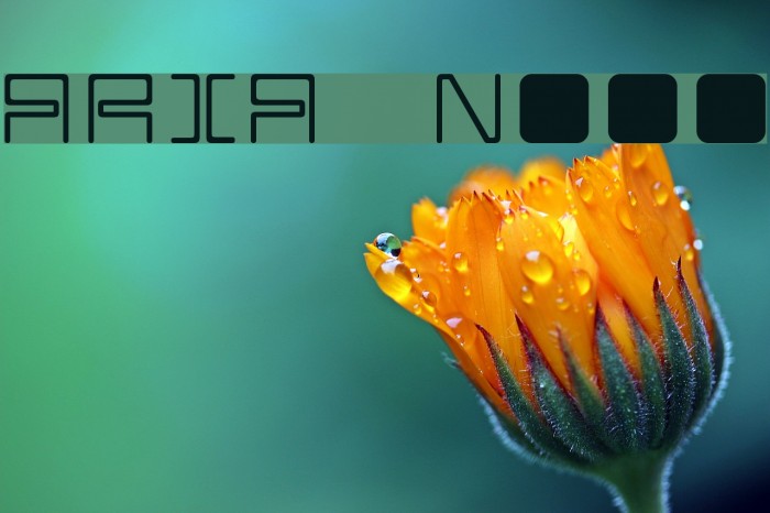 ARIA Normal Font examples