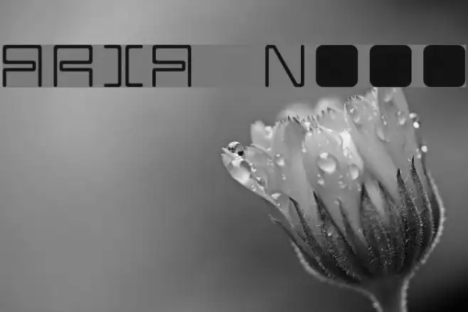 ARIA   Normal Example 1